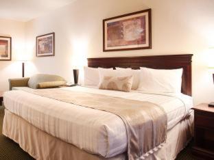 Best Western Jacksonville Inn Zimmer foto